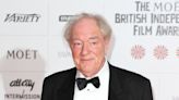 Harry Potter’s Michael Gambon Leaves Behind a Legacy: Inside the Dumbledore Actor’s Net Worth