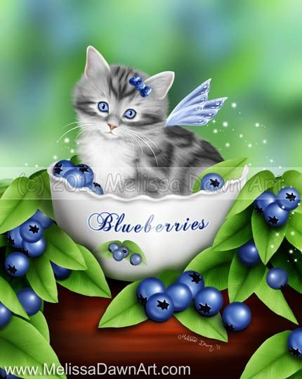 blueberry kitty