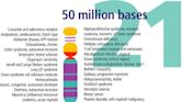 Genetics of Down syndrome