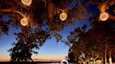 Here are the 5 best spots in Beaufort County for your holiday card photo shoots. Take a look