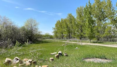 Secluded former campground in Regina will become site for Indigenous ceremonies