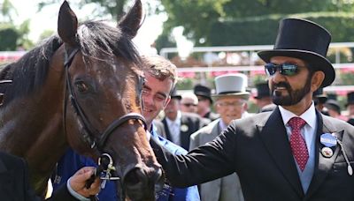 Losses at stud operation Godolphin decline by 30pc as revenues increase