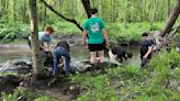 Wiconisco Creek Anglers clean up, create, trail in Williams Twp.