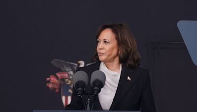 Biden's out, Harris rises. How will a new nominee affect pivotal NY House races?