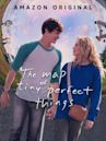 The Map of Tiny Perfect Things