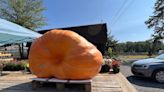Great day trip from Cape Cod: Giant pumpkin festival rolls into Rhode Island