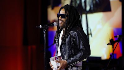 Watch the Adorable Moment Lenny Kravitz Picked Up & Hugged a Crying Fan at His Show