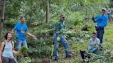 Carolina Strong: Dilworth residents work to keep their neighborhood parks clean