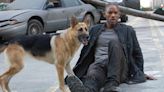 Will Smith Praises Working with His Canine Costar in 'I Am Legend': 'Like Working with a Brilliant Actress'