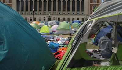 De Vietnam y el 'apartheid' a Gaza: los campus de EEUU, de nuevo en la línea de frente político