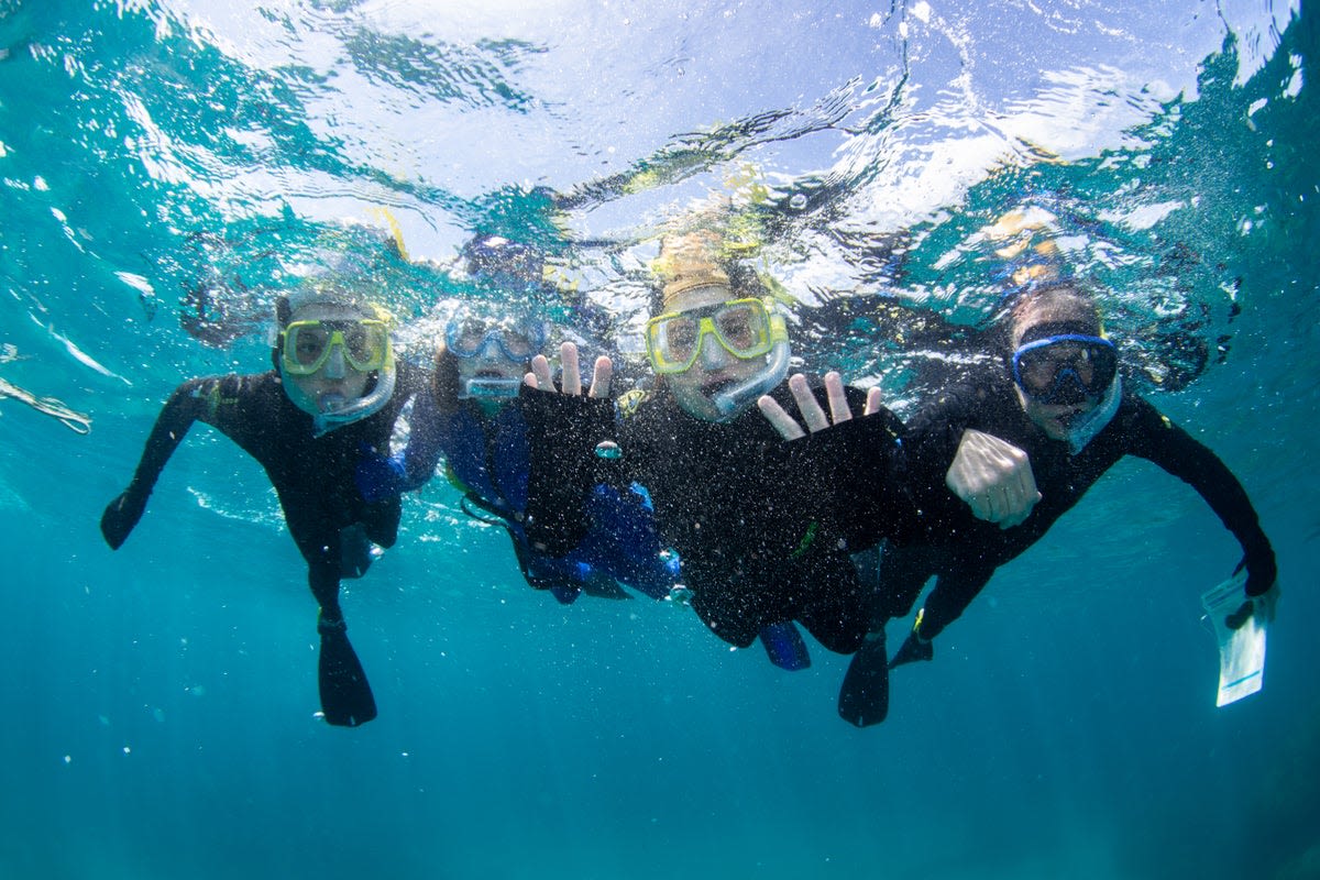 Visiting David Attenborough’s ‘favourite place’ – why you should explore the reefs and rainforests of North Queensland