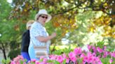 Bloom goes the dynamite: Azaleas explode into color for Masters Tournament