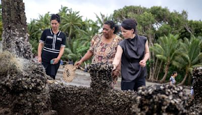 «Brutalität» der Klimakrise: Baerbock besucht Fidschi