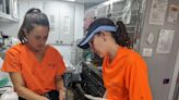 Helping the animals: UF veterinary team in Fort Myers to treat pets affected by Hurricane Ian