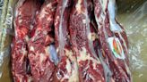 Crecieron las exportaciones de carne en el primer trimestre del año | Fincas