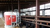 Porteus Farms: Robotic cattle-feeding system saves time and labor, reduces fossil fuel