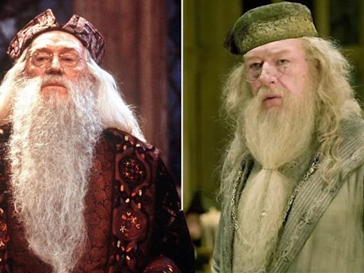 7 top contenders to play Dumbledore in the Harry Potter TV series cast