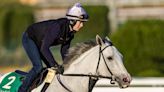 White Abarrio, National Treasure to Meet in Met Mile