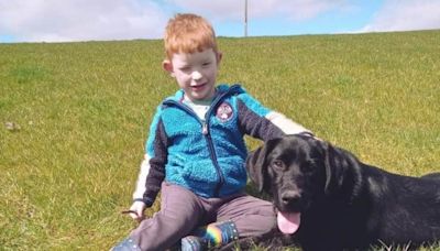 Boy, four, is left behind on nursery trip to wildlife park by staff