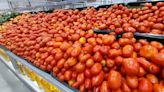 La Nación / Producción el tomate despegaría en junio y equilibrará el precio