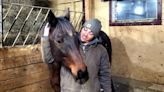 Cape Breton racehorse saved from 'kill pen' by his former groom