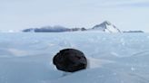 Global warming threatens Antarctica’s meteorites