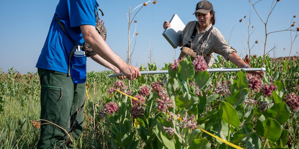 Buckley Space Force Base on the front lines of butterfly conservation