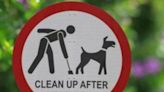 Cork County Council rule out installing additional dog fouling bins in North Cork town