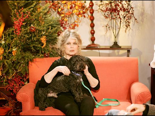 "L’arrière grand-mère de trois petits…" : Brigitte Bardot évoque ses petits-enfants en des termes peu aimables