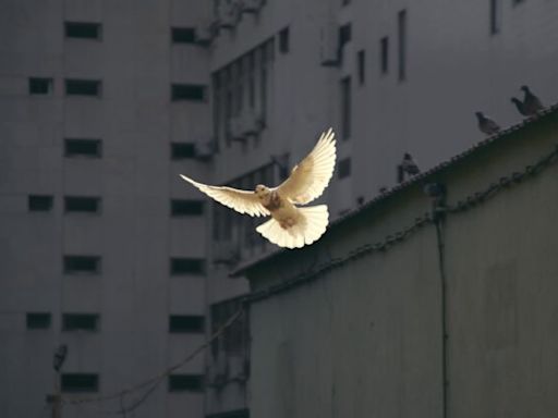 天氣＞鋒面過境後，各地天氣趨於穩定 | 蕃新聞