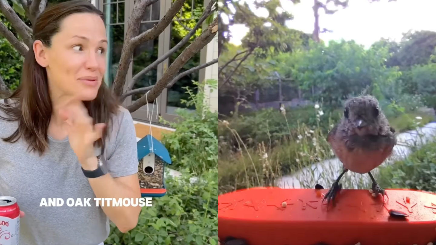 We Found the Bird Feeder That Made Jennifer Garner Absolutely Lose Her Mind