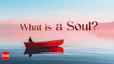 What is the Difference Between the Human Body and the Soul? - Times of India
