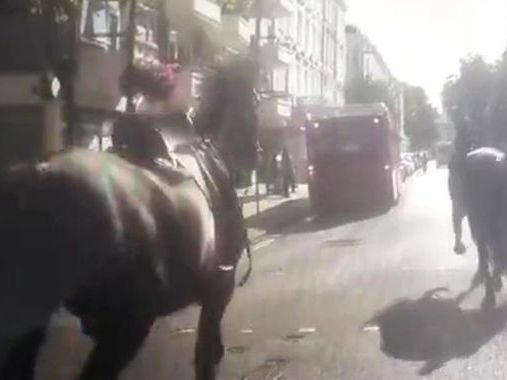 Chaos as military horses throw riders off before bolting through central London