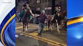 Conde Cavaliers break silence on horse slapping, kicking incident during parade