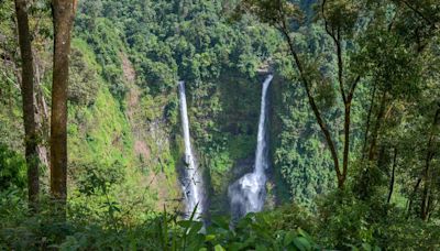 Meghalaya: A Guide to Its Top Attractions and Adventures | Business Insider India