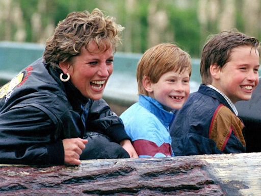 Prince Harry and Prince William would not be at war if Princess Diana was alive