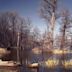 Reelfoot Lake State Park