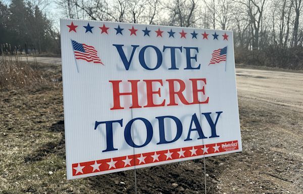 Who's on the ballot for Northern Michigan House seats, 1st Congressional District