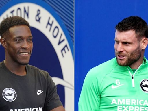 James Milner and Danny Welbeck sign new contracts with Brighton | BreakingNews.ie