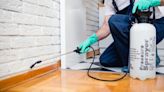 Experts share the best way to limit pests in your home this Summer