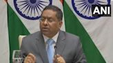 Embassy In "Constant Touch" With Indians: Centre On Lebanon Situation