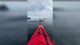 Moment kayaker paddles next to pod of orcas in Norway