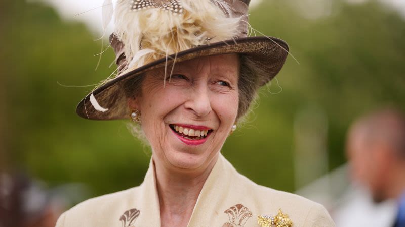 Princess Anne is out of hospital and recuperating at home after suffering head injury