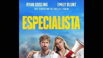 Película: "El especialista"