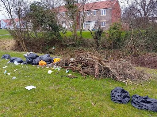 Man fined hundreds of pounds for dumping waste on green space in moment of frustration