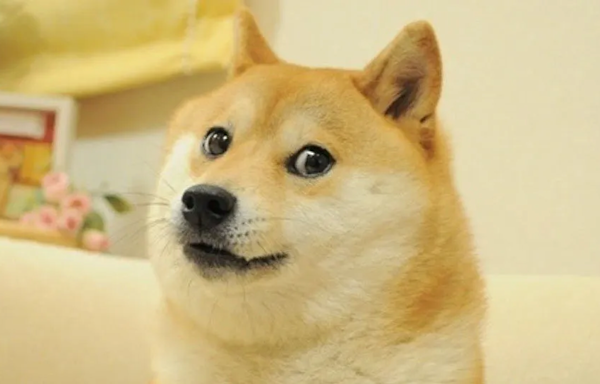 Kabosu, the original face of the Dogecoin (DOGE) meme, has passed away