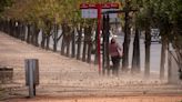 Alerta naranja por viento Zonda en Mendoza: que zonas se verán afectadas este lunes | Sociedad