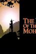 Der letzte Mohikaner