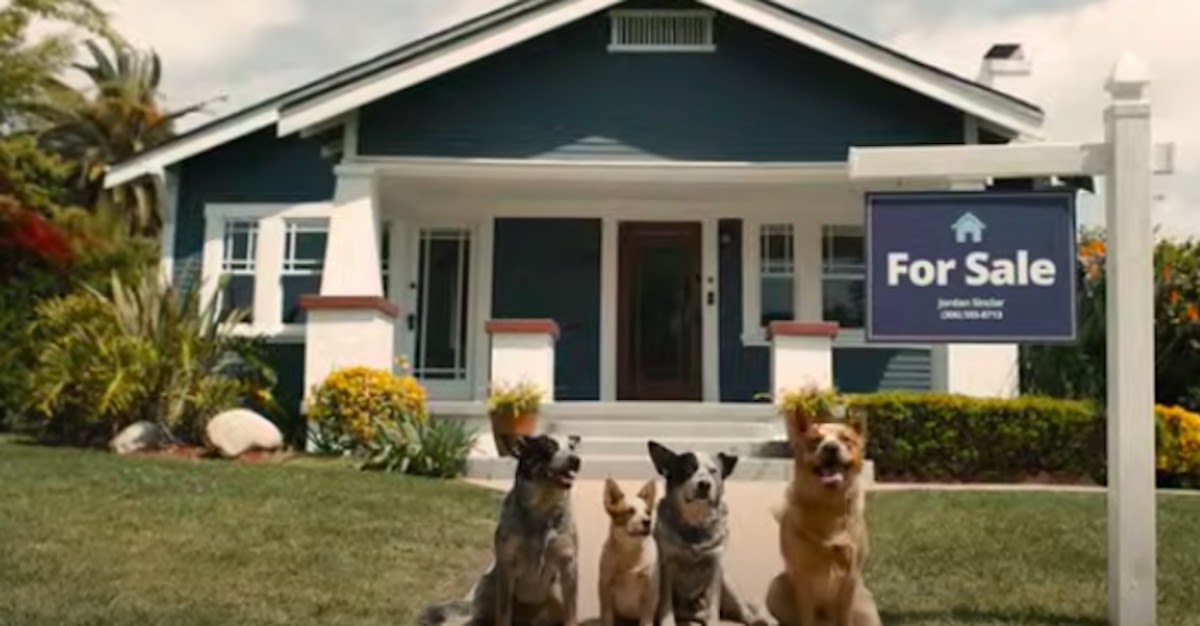 Ryan Reynolds' Production Company Has People in Tears with New 'Bluey-Inspired' Zillow Ad