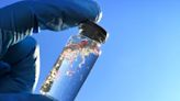 To address the growing issue of microplastics in the Great Lakes, we need to curb our consumption - EconoTimes